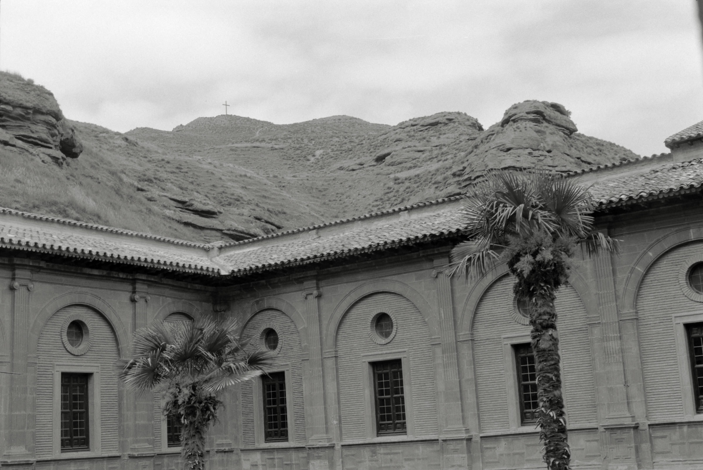 AHP F1995 05 008 sc240826 img11 NLP